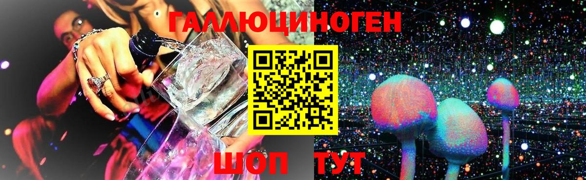купить наркотик  Галлюциногенные грибы GOLDEN TEACHER  Вход с VPN  Бузулук 